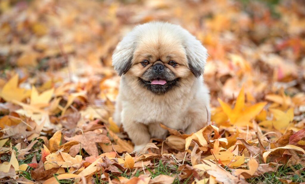 顔が疲れてると感じるのはストレスが原因なの？