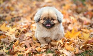 口元のたるみを解消する美容液の選び方は？