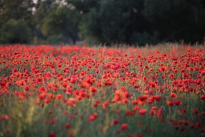 たるみとほうれい線に効果的な美顔器ランキングは？
