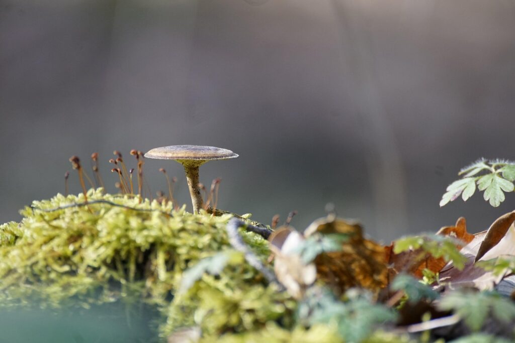 たるみ毛穴改善に効果的な化粧品は何ですか？